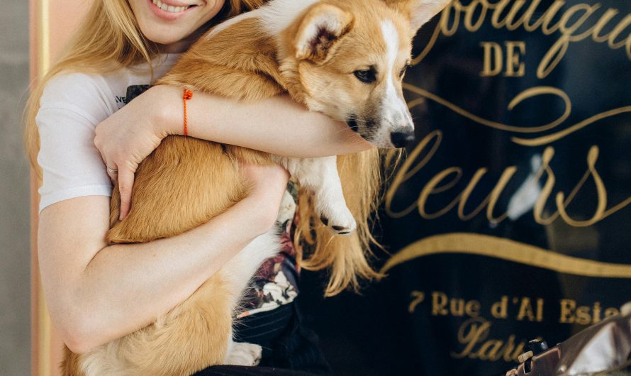 Важность поддержания оптимальной температуры в цветочном магазине