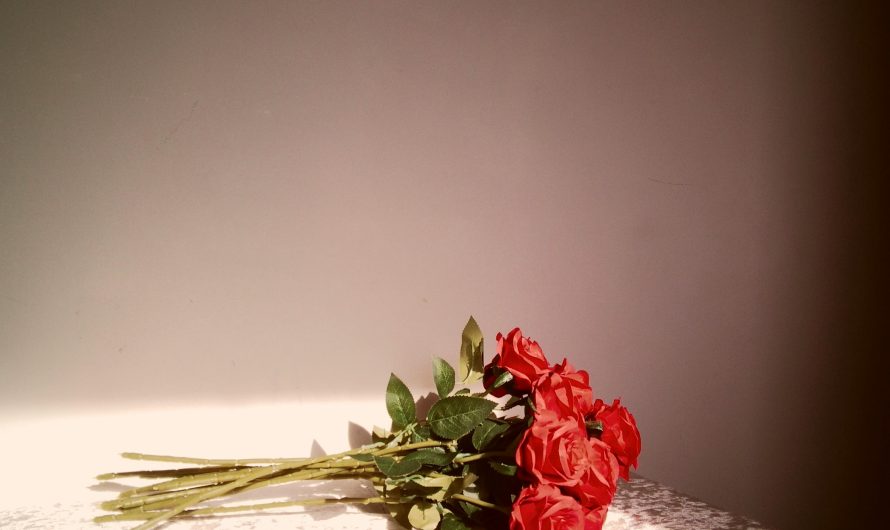 Как выбрать сплит-систему для холодильников для цветов с быстрым охлаждением