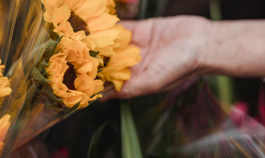 Кондиционер для хранения цветов: как выбрать оптимальную модель