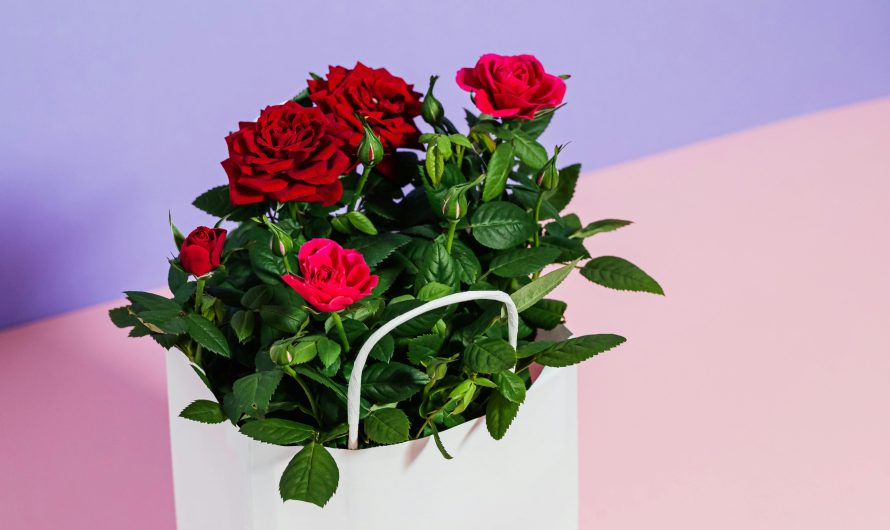 Как выбрать кондиционер для цветочного магазина с эффективным охлаждением